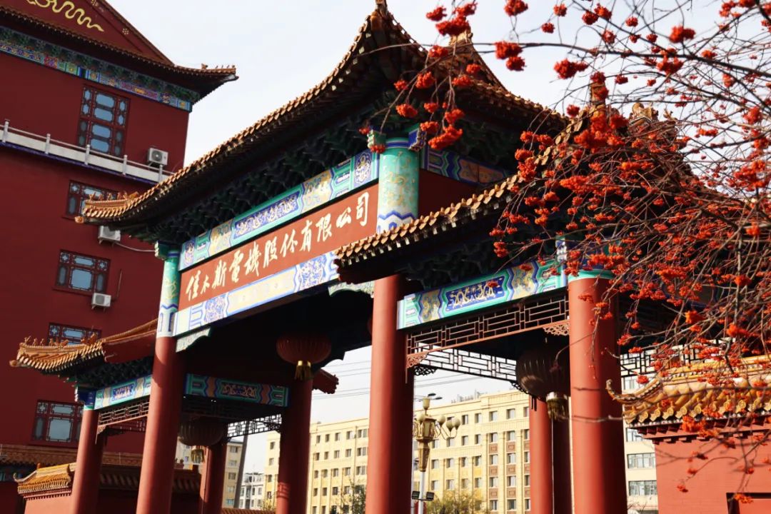 Z6·尊龙凯时「中国」官方网站