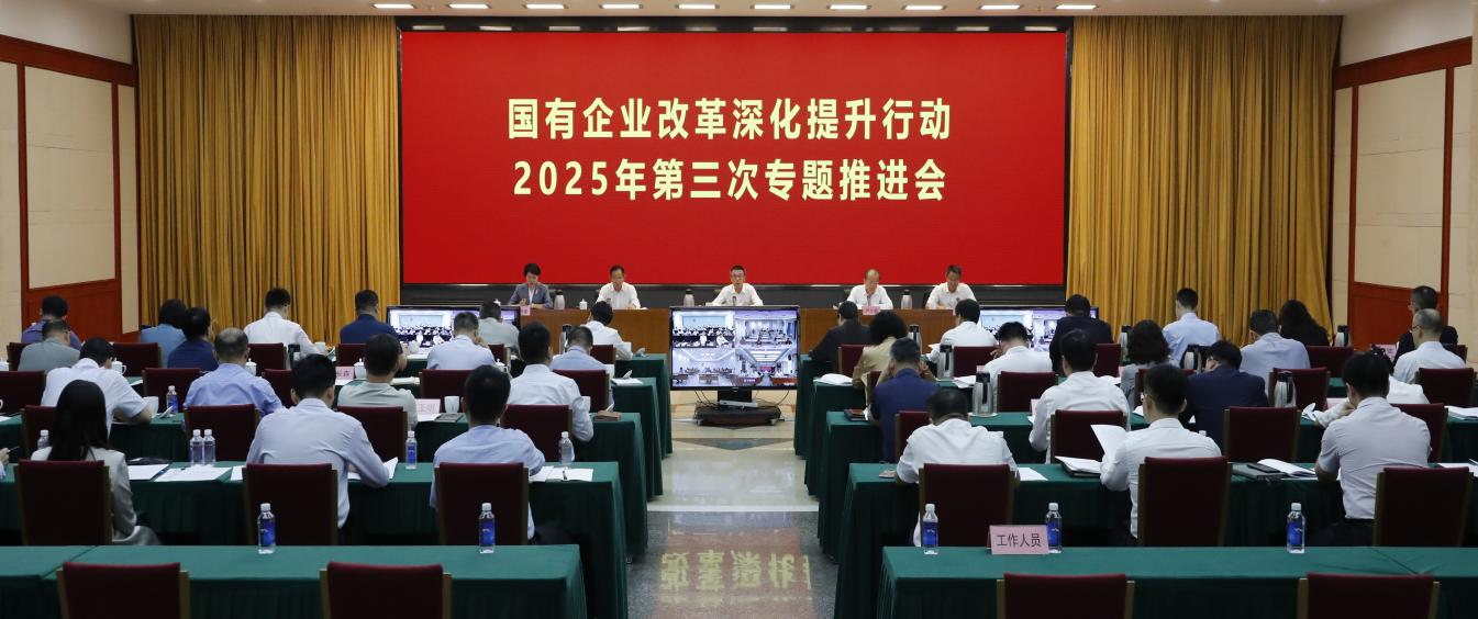 C9C2463DA036C7622423302043D_BE813A75_C3E3C.png?e=