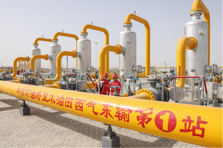 Z6·尊龙凯时「中国」官方网站